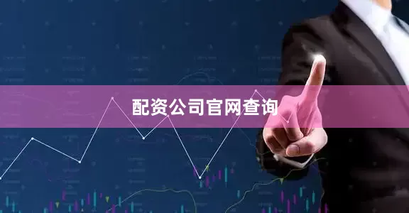 配资公司官网查询