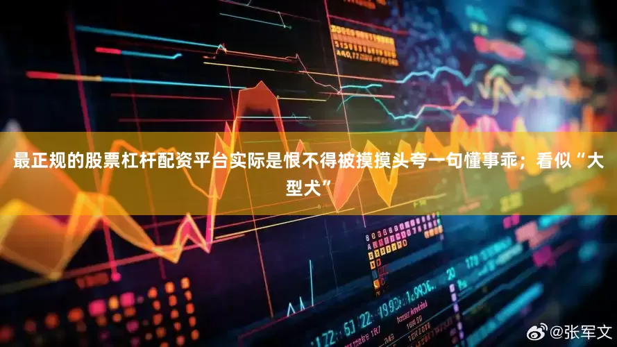 最正规的股票杠杆配资平台实际是恨不得被摸摸头夸一句懂事乖；看似“大型犬”