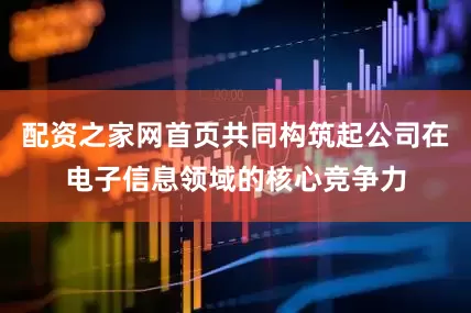 配资之家网首页共同构筑起公司在电子信息领域的核心竞争力