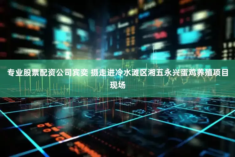 专业股票配资公司宾奕 摄　　走进冷水滩区湘五永兴蛋鸡养殖项目现场